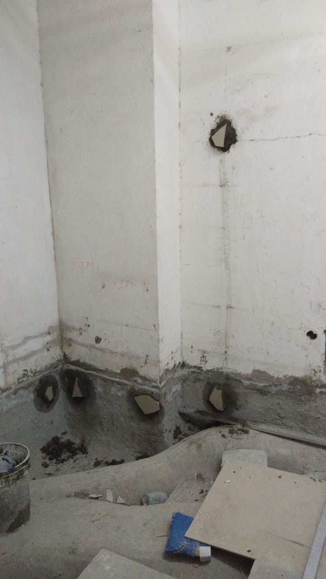 THE CAMELLIAS, GURUGRAM