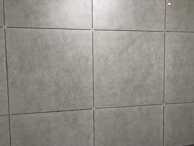 Orient Electric, Faridabad