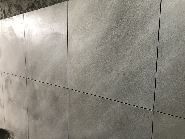 Orient Electric, Faridabad